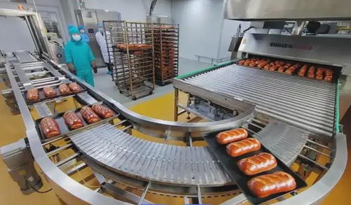 LFGB認(rèn)證指南 食品加工設(shè)備出口德國(guó)的必備測(cè)試與資料